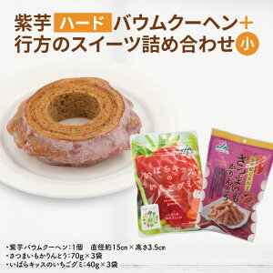 yӂ邳Ɣ[ŁzoEN[w(n[h){s̃XC[clߍ킹()bَq XC[c oEN[w Ƃ O~ lߍ킹 Zbg 錧 ss(AE-101)