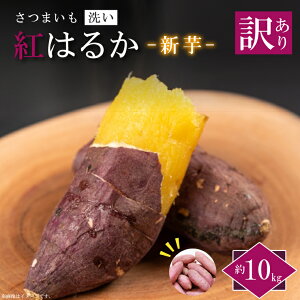 yӂ邳Ɣ[Łz󂠂聚y2025N9菇z_Yu₳̐vg͂邩 V  10kg|󂠂肳܂ Tc}C g͂邩  ss ӂ邳Ɣ[(EK-10)