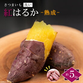 【ふるさと納税】【2026年1月より順次発送】農産物直売所「やさいの声」熟成紅はるか 洗い 約5kg|さつまいも サツマイモ 紅はるか 熟成 洗い 行方市 ふるさと納税(EK-12)