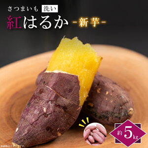 yӂ邳Ɣ[Łzy2025N9菇z_Yu₳̐vg͂邩 V  5kg|܂ Tc}C g͂邩  ss ӂ邳Ɣ[(EK-9)