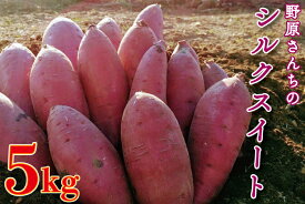 【ふるさと納税】【期間限定】【2026年1月中旬より順次発送】野原さんちのシルクスイート 約5kg｜芋 さつまいも サツマイモ お芋 いも シルクスイート 期間限定 先行予約 茨城県 行方市(EL-3-1)