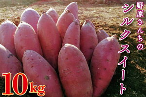 yӂ邳Ɣ[ŁzyԌzy2026N1{菇z쌴񂿂̃VNXC[g 10kgb ܂ Tc}C   VNXC[g Ԍ s\ 錧 ss(EL-4)