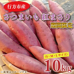 yӂ邳Ɣ[Łzy2026N2{菇z쌴񂿂̂܂ g܂ 10kgb ܂ Tc}C   g܂ Ԍ s\ 錧 ss(EL-2)