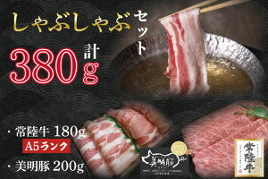 yӂ邳Ɣ[Łzy헤A5NE؂ԂԃZbgz헤[X180g{200gi[X100gE΂100gjbDT-31