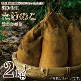 【ふるさと納税】 【2026年4月より順次発送】たけのこ 約2kg(米ぬか付き)｜たけのこ タケノコ 筍 旬 米ぬか 堀りたて 先行予約 茨城県 行方市(CP-10)