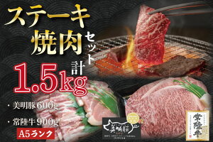 yӂ邳Ɣ[Łzy헤A5NE؃Xe[LēZbgz헤T[C900gi300g×3j{600gi[X300gE΂300gjbDT-39