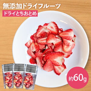 yӂ邳Ɣ[ŁzyYzhCƂƂ߁@20g×3b C`S  ƂƂ hCt[c t[c t[c Y ۑ 錧 ss(EP-10)