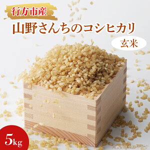 yӂ邳Ɣ[Łzߘa7NxYR삳񂿂̃RVqJ 5kg()b   Ђ RVqJ ߘa7NY R7NY V  錧 ss(BR-6-2)