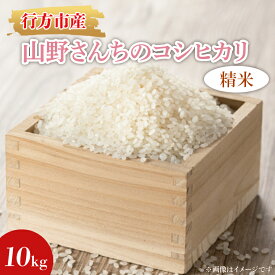 【ふるさと納税】★令和7年度産★山野さんちのコシヒカリ 10kg(精米)｜米 お米 こめ こしひかり コシヒカリ 令和7年産 R7年産 精米 茨城県 行方市(BR-7-1)