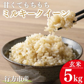 【ふるさと納税】★令和7年度産★甘くてもちもち ミルキークイーン5kg(玄米)｜米 お米 こめ ミルキークイーン 令和7年産 R7年産 新米 玄米 茨城県 行方市(BR-9)