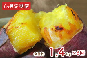 yӂ邳Ɣ[Łzy6ցz錧ssYng͂邩傫߃TCYⓀĂ1.2LI܂t!!v1.4L!!!iEY-16j