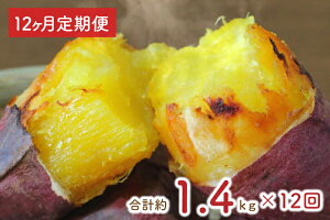 yӂ邳Ɣ[Łzy12ցz傫߃TCYng͂邩ⓀĂ1.2kg{܂i킳܂ v1.4kg!iEY-22j