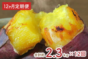 yӂ邳Ɣ[Łzy12ցz傫߃TCYng͂邩ⓀĂ2kg{܂i킳܂ v2.3kg!iEY-23j