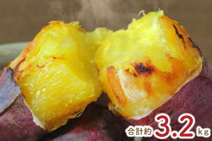 ★訳あり★紅はるか冷凍焼き芋約3kg＋おまかせ品種さつまい...