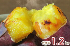 【ふるさと納税】熟成紅はるかの冷凍焼き芋約1kg＋おまかせ品種さつまいも　合計1.2kg｜さつまいも サツマイモ さつま芋 焼き芋 やきいも 冷凍 冷凍焼き芋 紅はるか 茨城県 行方市(EY-6)