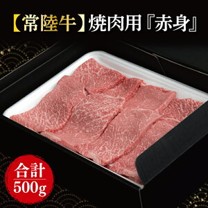 yӂ邳Ɣ[Łzy헤zēpwԐgx 500gb     헤 Ԑg ē BBQ uh 錧 ss(FL-18)