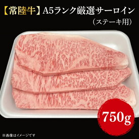 【ふるさと納税】【常陸牛】A5ランク厳選サーロイン(ステーキ用)250g×3｜FL-11