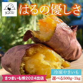 【ふるさと納税】【日本最大級のサツマイモの祭典、さつまいも博2024 出店】はるの優しさ（冷凍やきいも）冷凍 焼芋 焼き芋 やきいも さつまいも さつま芋 熟成 選べる 約500g 約1kg(GC-1)