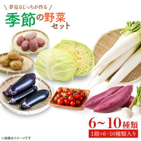 【ふるさと納税】夢見るじっちが作る季節の野菜セット　6～10種類入り1箱（CN-5）