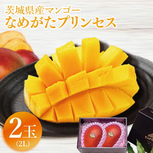 yӂ邳Ɣ[ŁzyIׂTCYƓeʁzy2026N6{菇zʌ聚}S[ Ȃ߂vZX b}S[ t[c ʕ  ʌ s\ 錧 ss(E