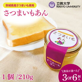 【ふるさと納税】【選べる個数】さつまいもあん｜GN-1/GN-2