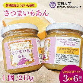 【ふるさと納税】【選べる個数】さつまいもあん｜GN-1/GN-2