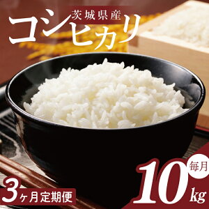 yӂ邳Ɣ[ŁzyIׂiEeʁzy2026N2菇zy3ցzߘa7N 錧Yāb    R7NY ߘa7NY RVqJ ~L[NC[ ɂ̂߂ 