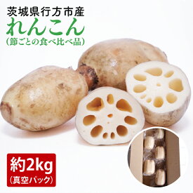 【ふるさと納税】【2025年9月中旬より順次発送】【真空パック】【洗い】【食べ比べ】「横瀬農園のれんこん」（節切り小分け食べ比べ品）約2kg（4～5袋）｜ 農家直送 レンコン れんこん 茨城県産 野菜 根菜 行方市産 新鮮 栄養豊富 生産量 日本一(HB-4)