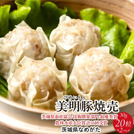 【ふるさと納税】【2026年5月中旬より順次発送】焼売 美明豚「びめいとん」のジューシー焼売｜シュウマイ 焼売 美明豚 びめいとん 肉 肉加工品 豚肉 お肉 ジューシー 茨城県 行方市(HJ-1-1)