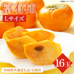 yӂ邳Ɣ[Łzʌ聚xL` L 16ʁy錧ʕԗi/Ήszb`  JL t[c ʕ  xL` W[V[ ʌ ss Ήs 錧(HL-4)