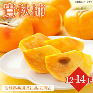 yӂ邳Ɣ[Łzy2025N10菇zʌ聚MH` 12`14(2L)y錧ʕԗi/Ήszb`  JL t[c ʕ  MH` W[V[ ʌ ss Ήs 
