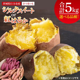 【ふるさと納税】【選べる品種】【2025年9月より順次発送】さつまいも(紅はるか) or（シルクスイート）約5kg｜さつまいも 芋 サツマイモ 紅はるか シルクスイート 先行予約 茨城県 行方市(HP-1)