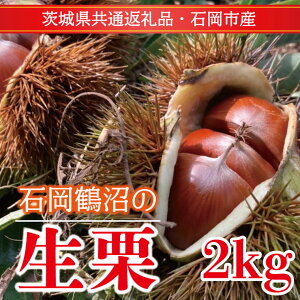 yӂ邳Ɣ[Łzys\zy2025N9菇zΉߏ̐I 2kgi錧ʕԗiEΉsYj(ER-2-1)