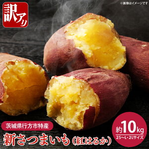 yӂ邳Ɣ[Łzy2025N8{菇zyIׂz󂠂聚錧ssY@V܂ig͂邩jTCY~bNX 5kg or 10kgb󂠂 킯 A ܂ Tc}