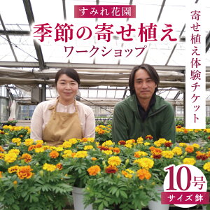 yӂ邳Ɣ[ŁzyIׂTCYzss̉Ԕ_Ɓu݂ԉvG߂̊񂹐A[NVbvb  G߂̉ [NVbv ̌ ̌`Pbg [P[V K[fZs[ 