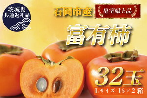 y2025N11{菇zy錧ʕԗi^Ήsz`oבg̕xL`L 32ʁb` JL xL` t[c  ʕ ʕԗi 錧 Ήs ss(DR-5-1)