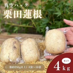 yӂ邳Ɣ[Łz񂱂 R @ ^pbN1kg`4kg @Iׂ֗L
