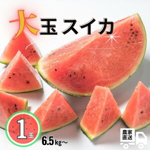 【ふるさと納税】 大玉スイカ 1玉(6.5kg以上)