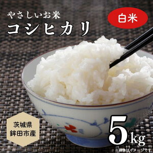 yӂ邳Ɣ[Łz₳ā@Ђ5kgiāj