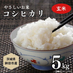 yӂ邳Ɣ[Łz₳ā@Ђ5kgiāj