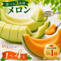 楽天市場】アールスメロン（総重量（果物）4.00 ～ 4.99kg）（フルーツ 