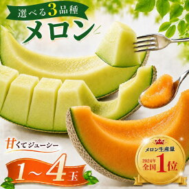 【ふるさと納税】 メロン めろん 茨城 2026年発送 1～4玉 選べる玉数 果物 くだもの フルーツ 赤肉 青肉 1玉 2玉 3玉 4玉 先行予約 アンデスメロン クインシーメロン アールスメロン meron melon 産地直送 数量限定 プレゼント ギフト 茨城県 鉾田市 メロンの村田