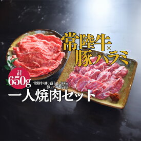 【ふるさと納税】【超堪能！】常陸牛（300g）×豚ハラミ（350g）　一人焼肉セット