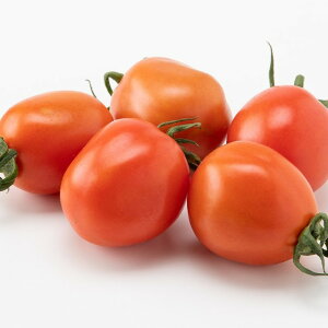 �y�ӂ邳�Ɣ[�Łz ���Ƃ����񂿂̂��낢��Ƃ܂Ɓi��ʁE�~�f�B�A���E�N�b�L���O�j