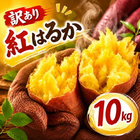 【ふるさと納税】 さつまいも 訳あり 紅はるか 約 10kg サツマイモ さつま芋 べにはるか イモ いも 芋 生芋 甘藷 焼き芋 やきいも スイートポテト 野菜 規格外 訳アリ 不揃い ご家庭用 おやつ 産地直送 茨城県 鉾田市 大洋まいたけセンター