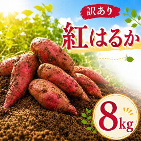 【ふるさと納税】 さつまいも 訳あり 紅はるか 約 8kg サツマイモ さつま芋 べにはるか イモ いも 芋 生芋 甘藷 焼き芋 やきいも スイートポテト 野菜 規格外 訳アリ 不揃い ご家庭用 おやつ 産地直送 茨城県 鉾田市 大洋まいたけセンター