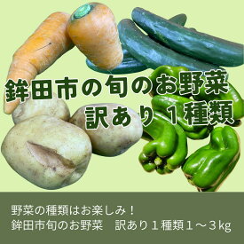 【ふるさと納税】鉾田市旬のお野菜 訳あり（1種類1〜3kg）