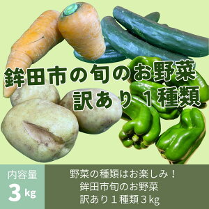 yӂ邳Ɣ[Łzgcs{̂ 󂠂i11`3kgj