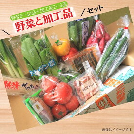 【ふるさと納税】＼選べる発送回数／ 旬を産地直送「旬菜館オリジナル【 野菜 （8〜10品）と 加工品 （2〜3品）】セット」届くまでのお楽しみ♪