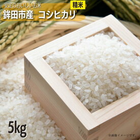 【ふるさと納税】安定の美味しさ　鉾田市産コシヒカリ　精米5kg